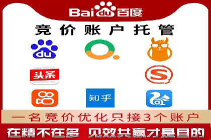 落地页在SEM优化中的重要性及成功案例